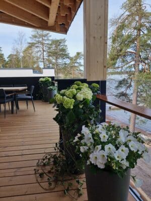 puutarhanikkarit vihersisustus yrityksille