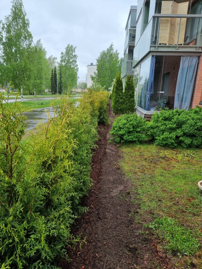 tuija-aita puutarhanikkarit