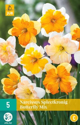x-5-narcissus-butterfly-mix-12-14