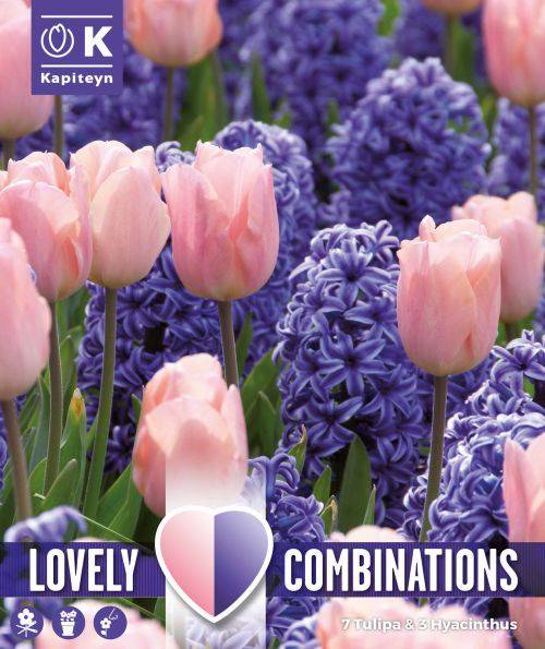 Hyasintti-Blue-Tulipa-Pink-lovely-compinations