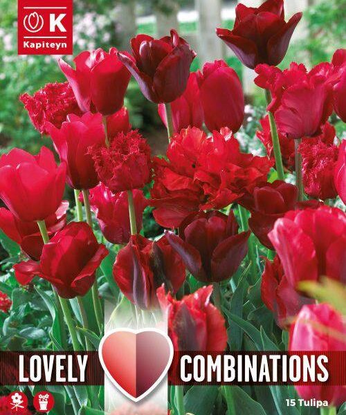 Tulppaani-Red-Shades-Lovely-combinations
